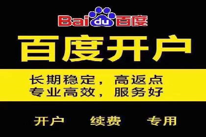 互联网公司SEM代运营成功案例剖析